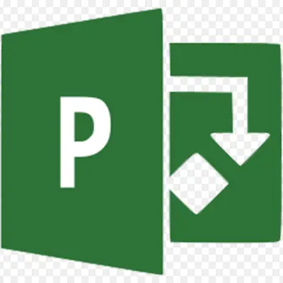 MS Project MS Project